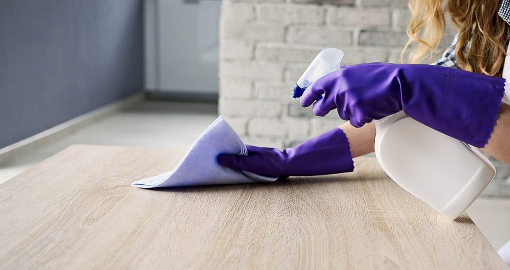 Cleaning Houses